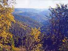 Schwarzwald (Black Forest)
